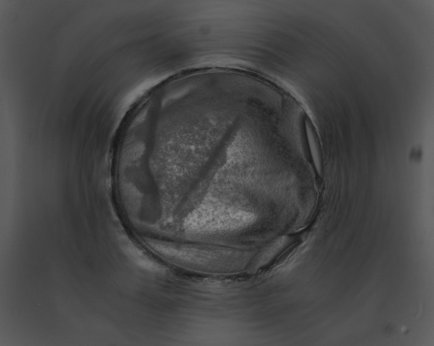 X0000091360987200708311501