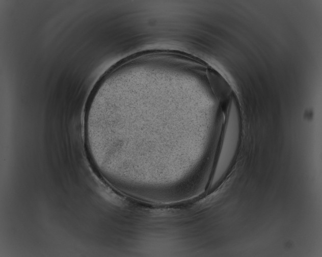 X0000091360988200708311501