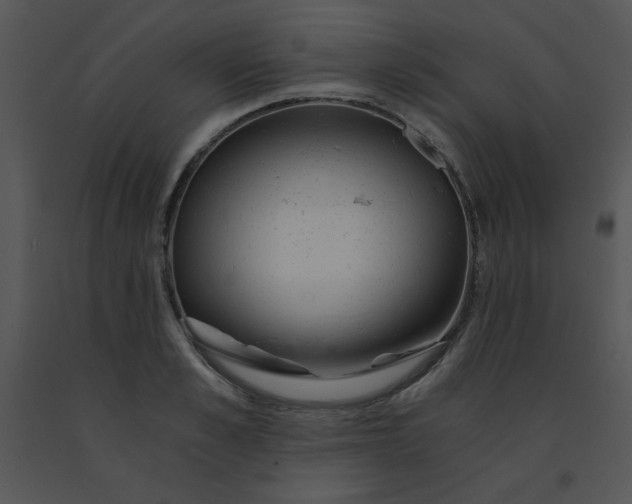 X0000091360989200708311501