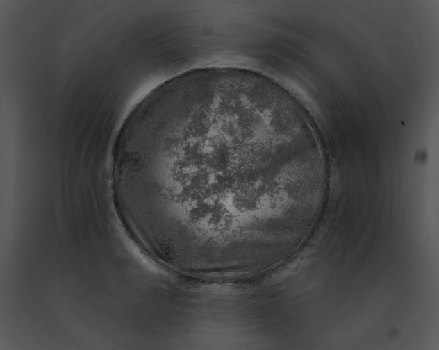 X0000091360990200708311501