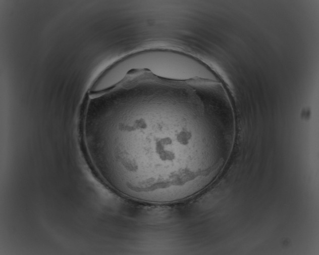 X0000091360991200708311501