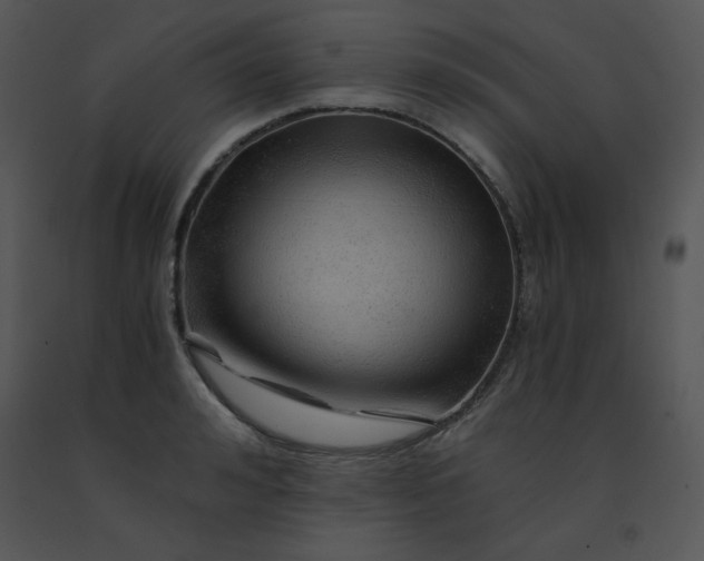 X0000091360992200708311501