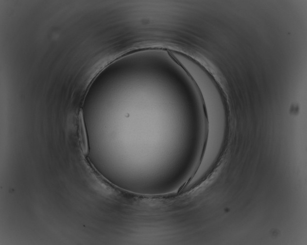 X0000091360993200708311501