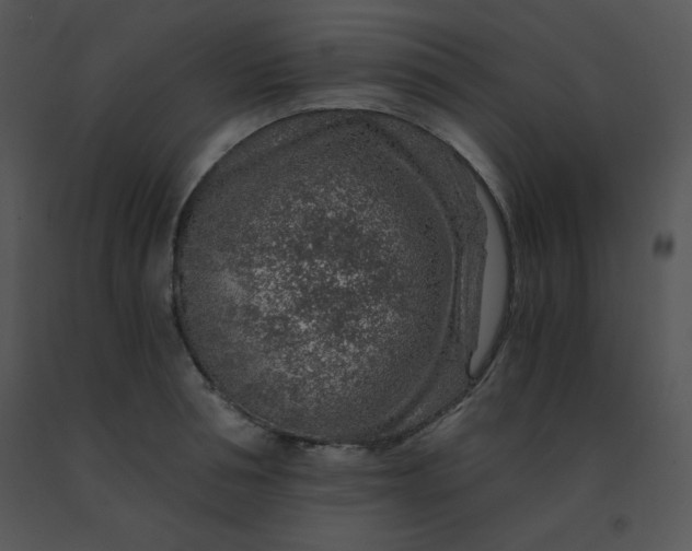 X0000091360994200708311501