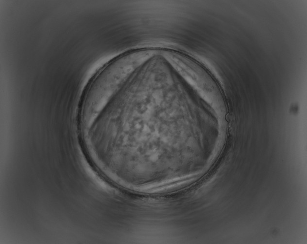 X0000091360995200708311501