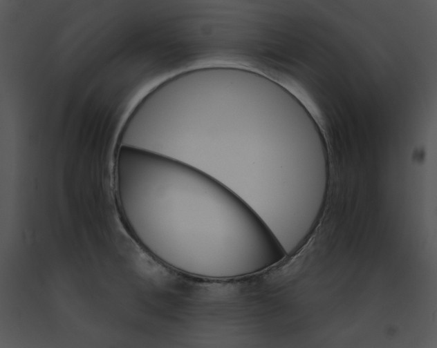 X0000091360996200708311501