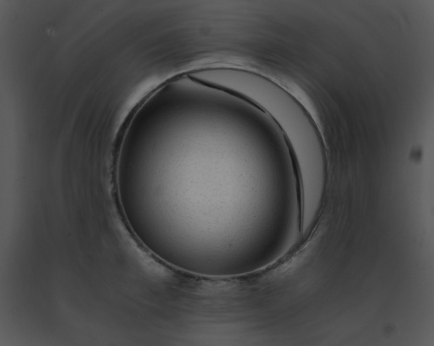 X0000091360997200708311501