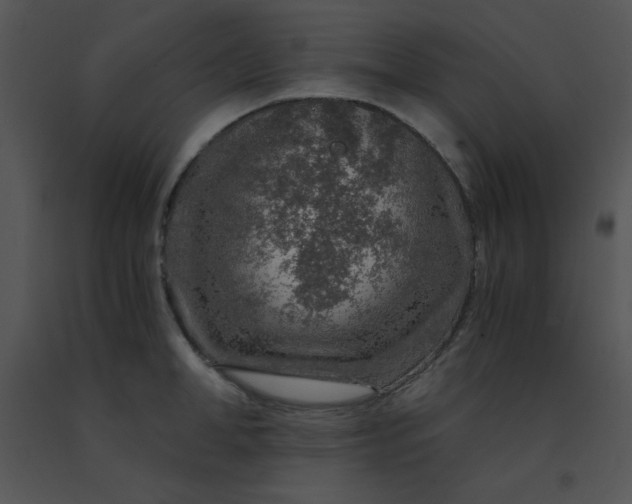 X0000091360998200708311501