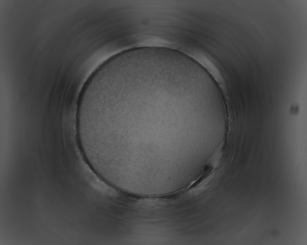 X0000091361000200708311501
