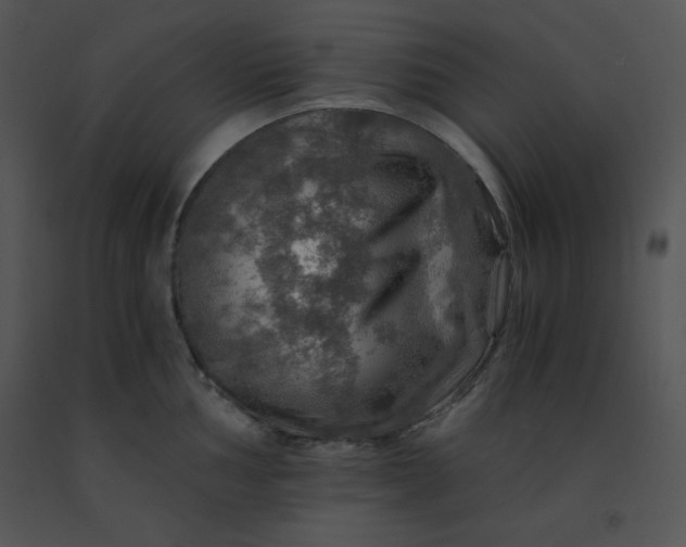 X0000091361002200708311501