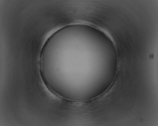 X0000091361003200708311501