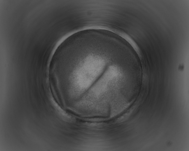 X0000091361004200708311501