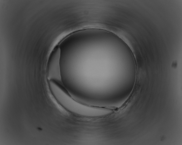 X0000091361005200708311501