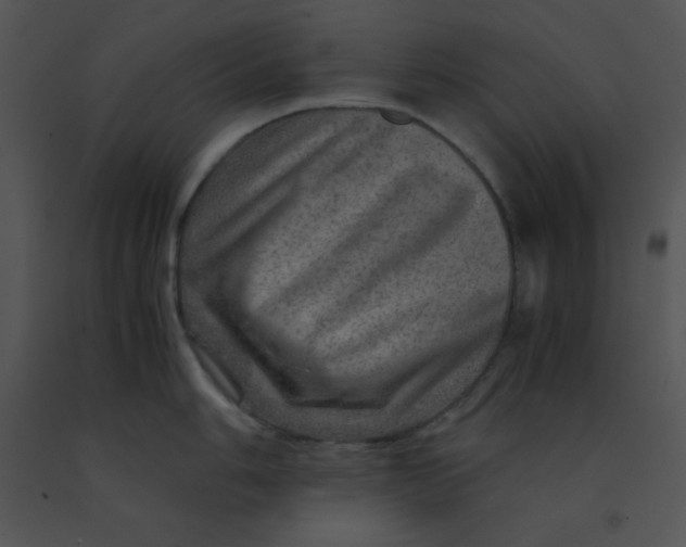 X0000091361006200708311501