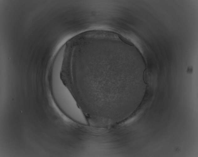 X0000091361007200708311501