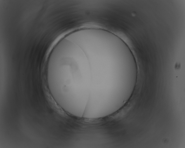 X0000091361008200708311501