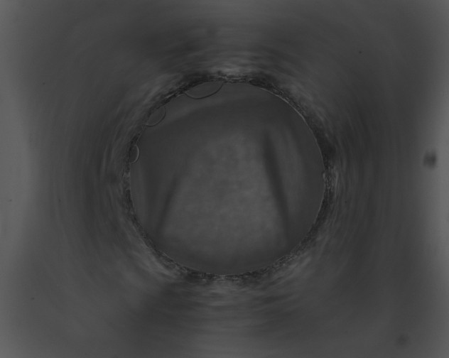 X0000091361009200708311500