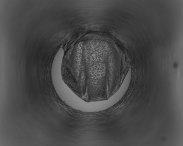 X0000091361010200708311500