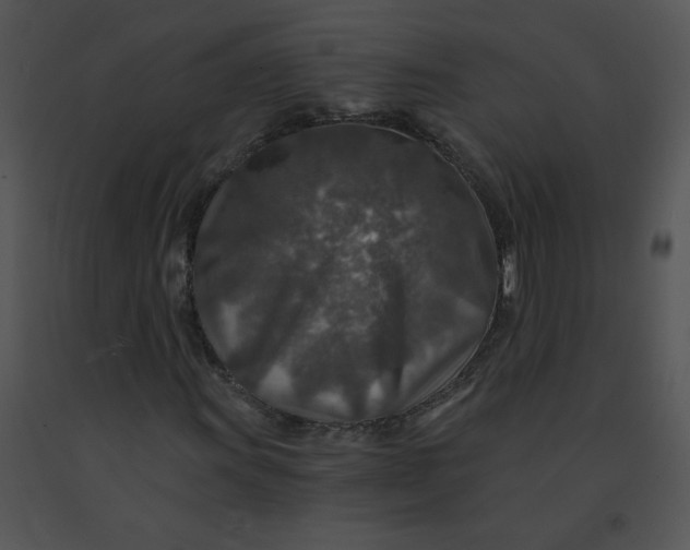 X0000091361011200708311500