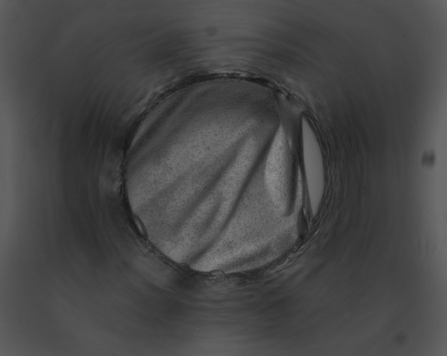 X0000091361012200708311500