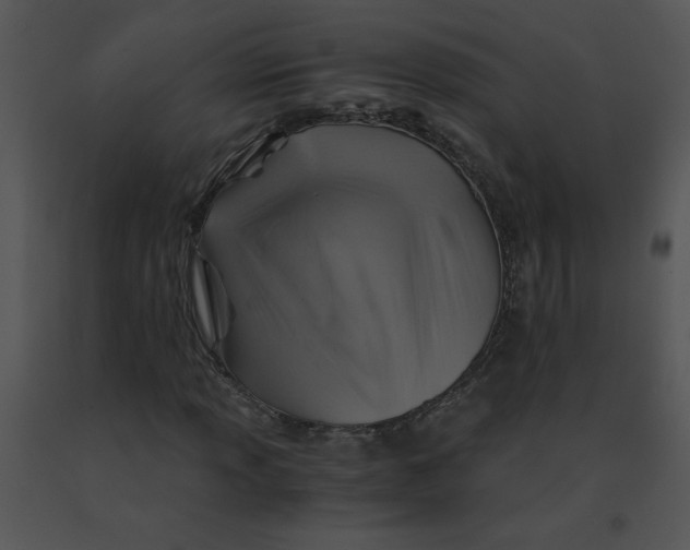 X0000091361013200708311500