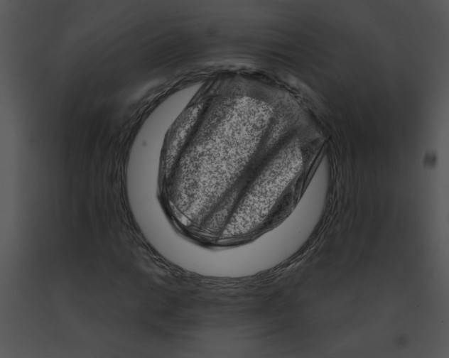 X0000091361014200708311500