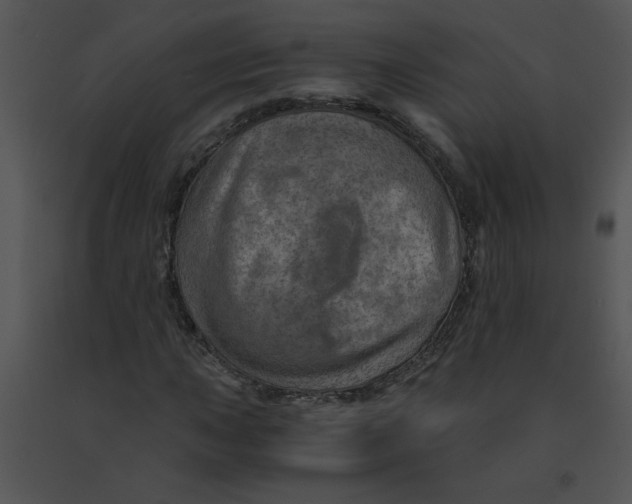 X0000091361015200708311500