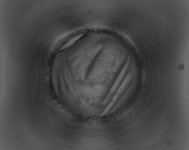 X0000091361016200708311500