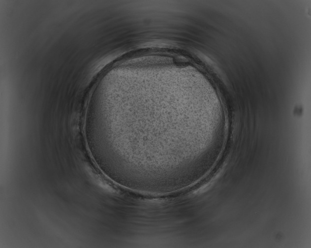X0000091361017200708311500