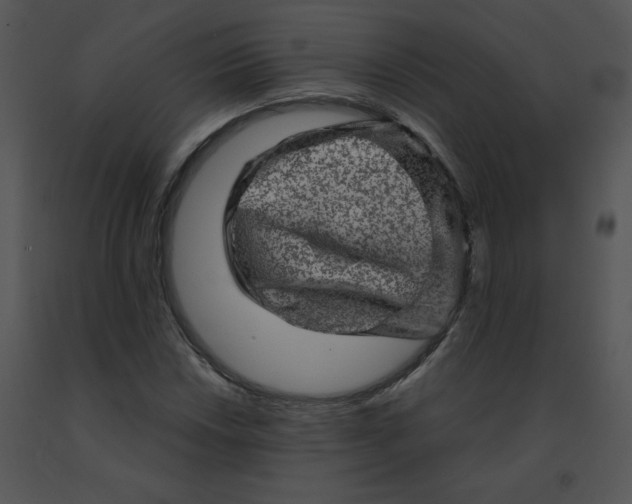 X0000091361018200708311500