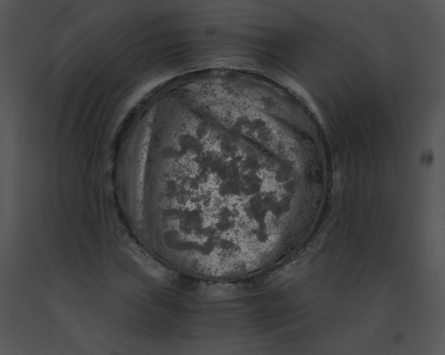 X0000091361019200708311500