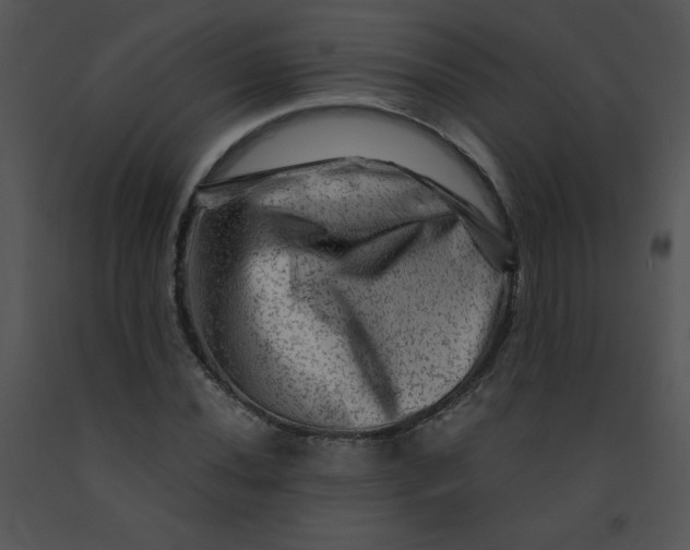 X0000091361020200708311500