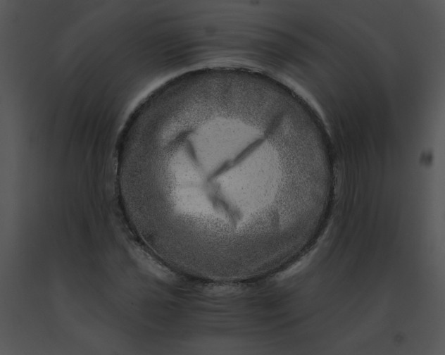 X0000091361021200708311500