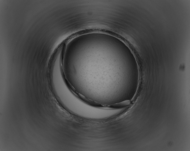 X0000091361022200708311500