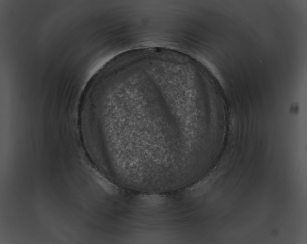 X0000091361023200708311500