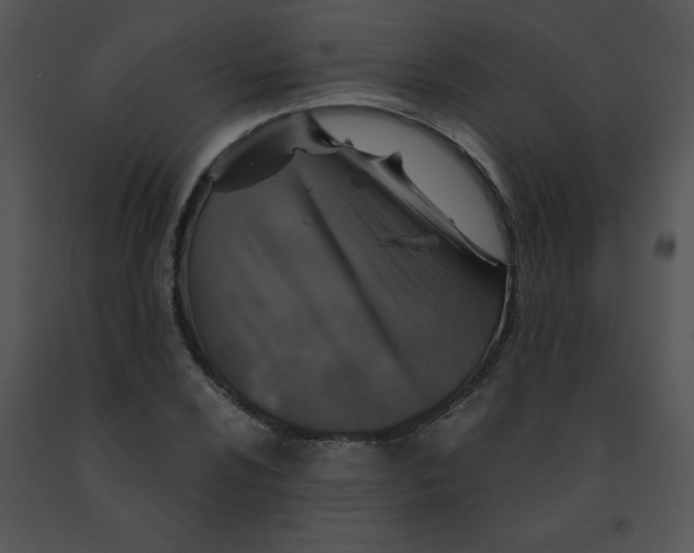 X0000091361024200708311500