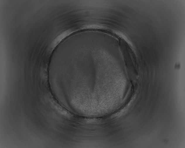 X0000091361025200708311500