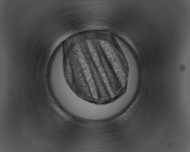 X0000091361026200708311500