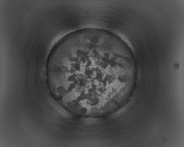 X0000091361027200708311500