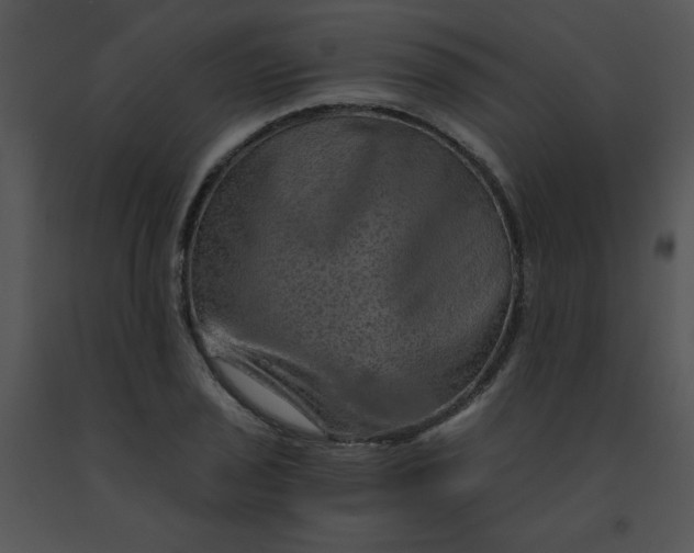 X0000091361029200708311500
