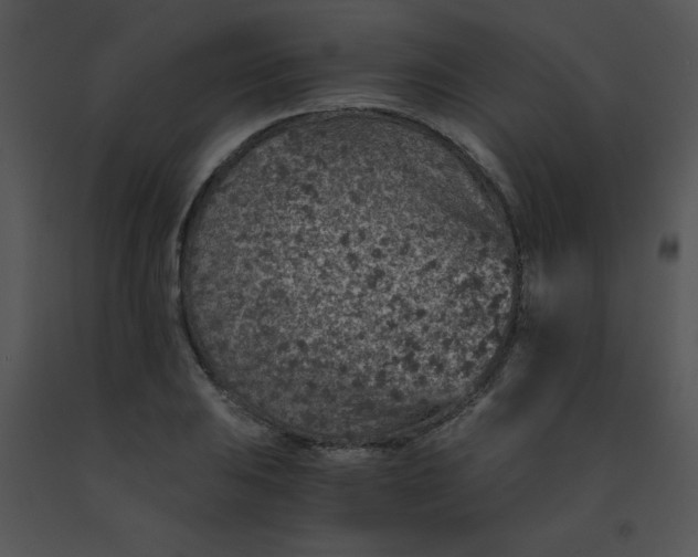 X0000091361031200708311500