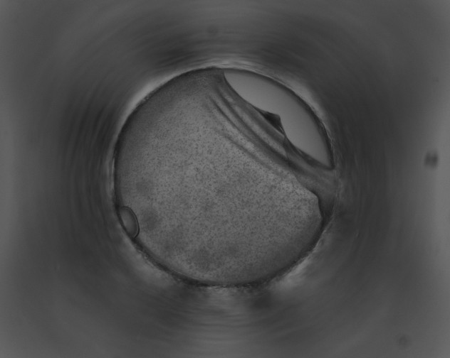 X0000091361032200708311500