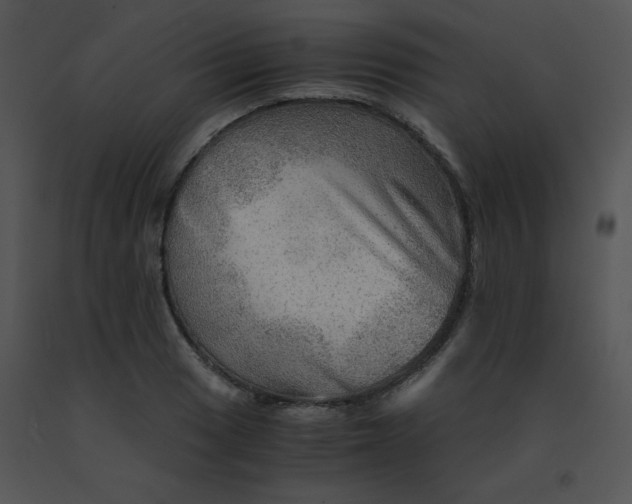 X0000091361033200708311500