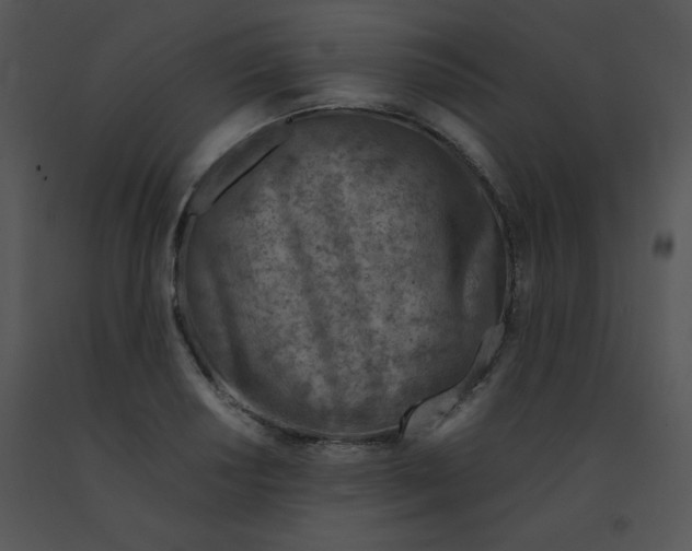 X0000091361034200708311500