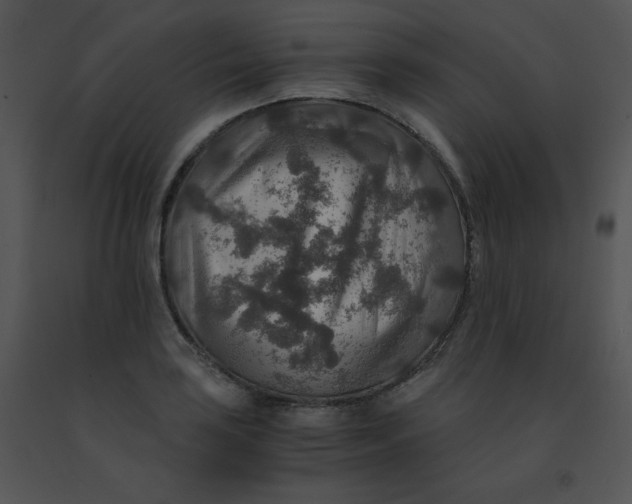 X0000091361035200708311500