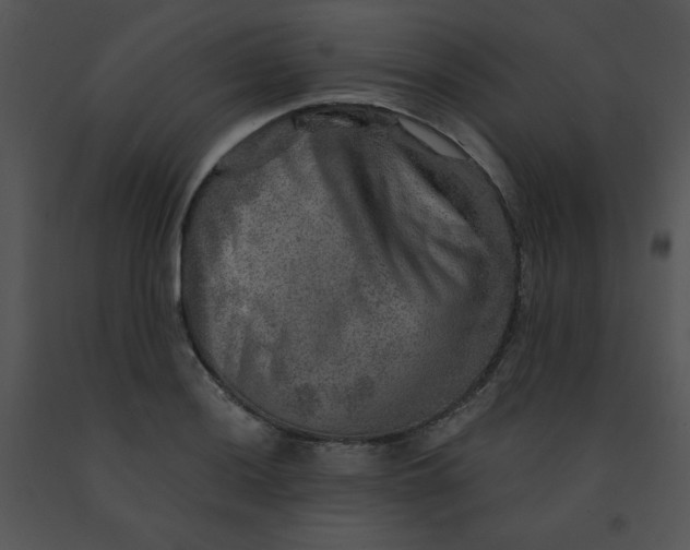 X0000091361036200708311500