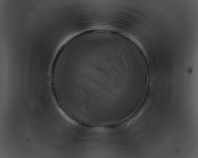 X0000091361037200708311500