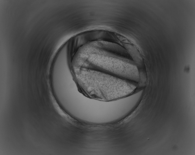 X0000091361038200708311500
