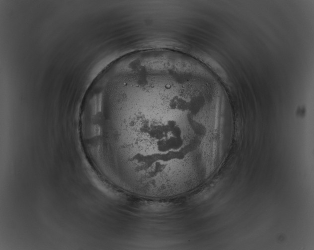 X0000091361039200708311501
