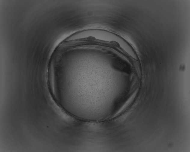 X0000091361040200708311501